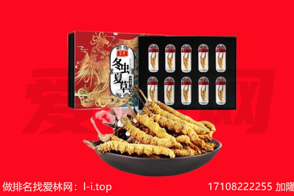 湖州市回收虫草.jpg